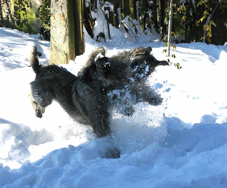 foto_inverno2010 g.jpg - Alé!!!